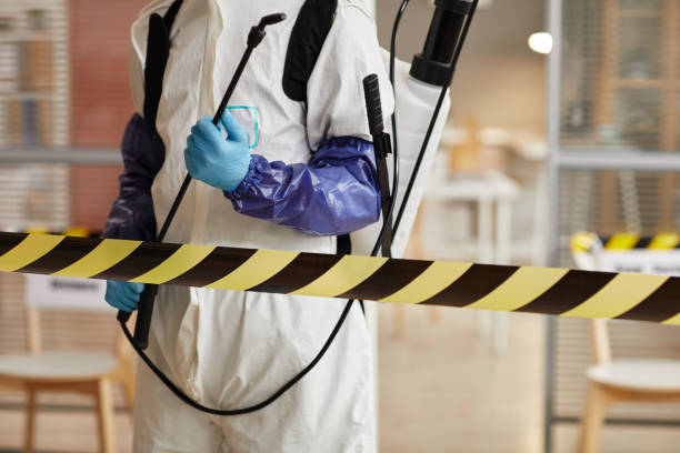 Professional Sewage Cleanup technician working in Somerville, TN